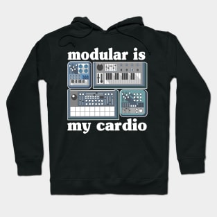 Analog Modular Is My Cardio Synthesizer Synth Sound Retro Hoodie
